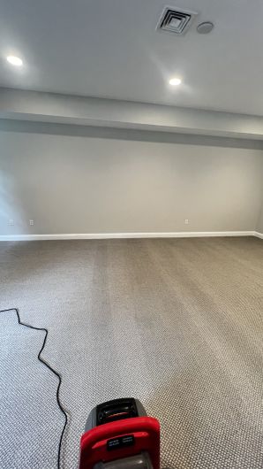 Carpet Cleaning in Ridgefield, CT (1)