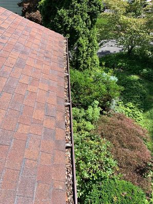 Before & After Gutter Cleaning in Danbury, CT (3)