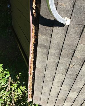 Before & After Gutter Cleaning in Weston, CT (1)