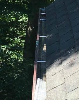 Before & After Gutter Cleaning in Weston, CT (2)